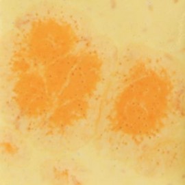 Citrus Splash - 16 oz Mayco Crystal Glaze Citrus Splash - 16 oz Mayco Crystal Glaze